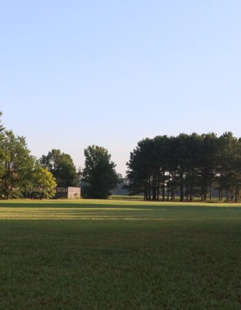 Wat Goldsboro Vanaram